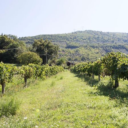 Agriturismo I Melograni Ферентилло Экстерьер фото