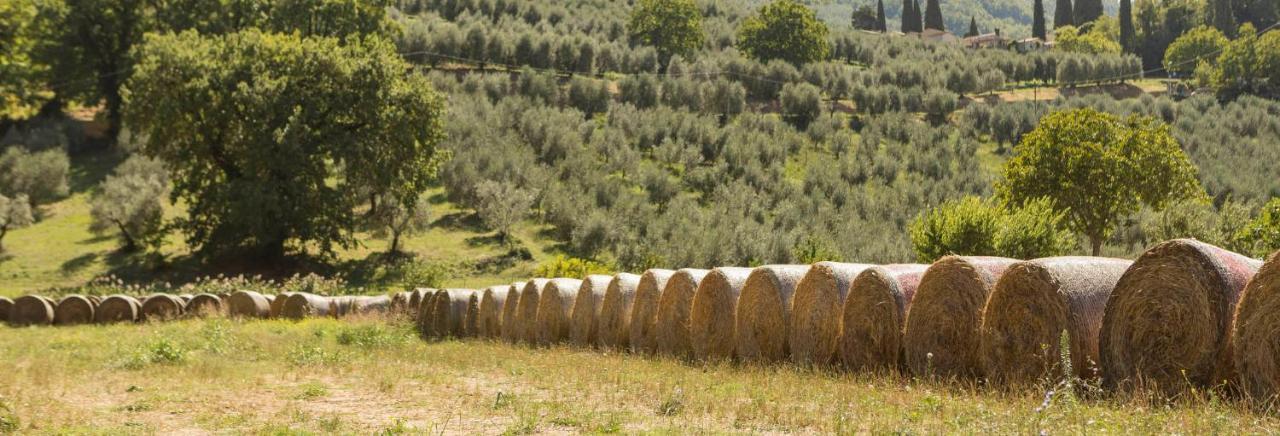 Agriturismo I Melograni Ферентилло Экстерьер фото