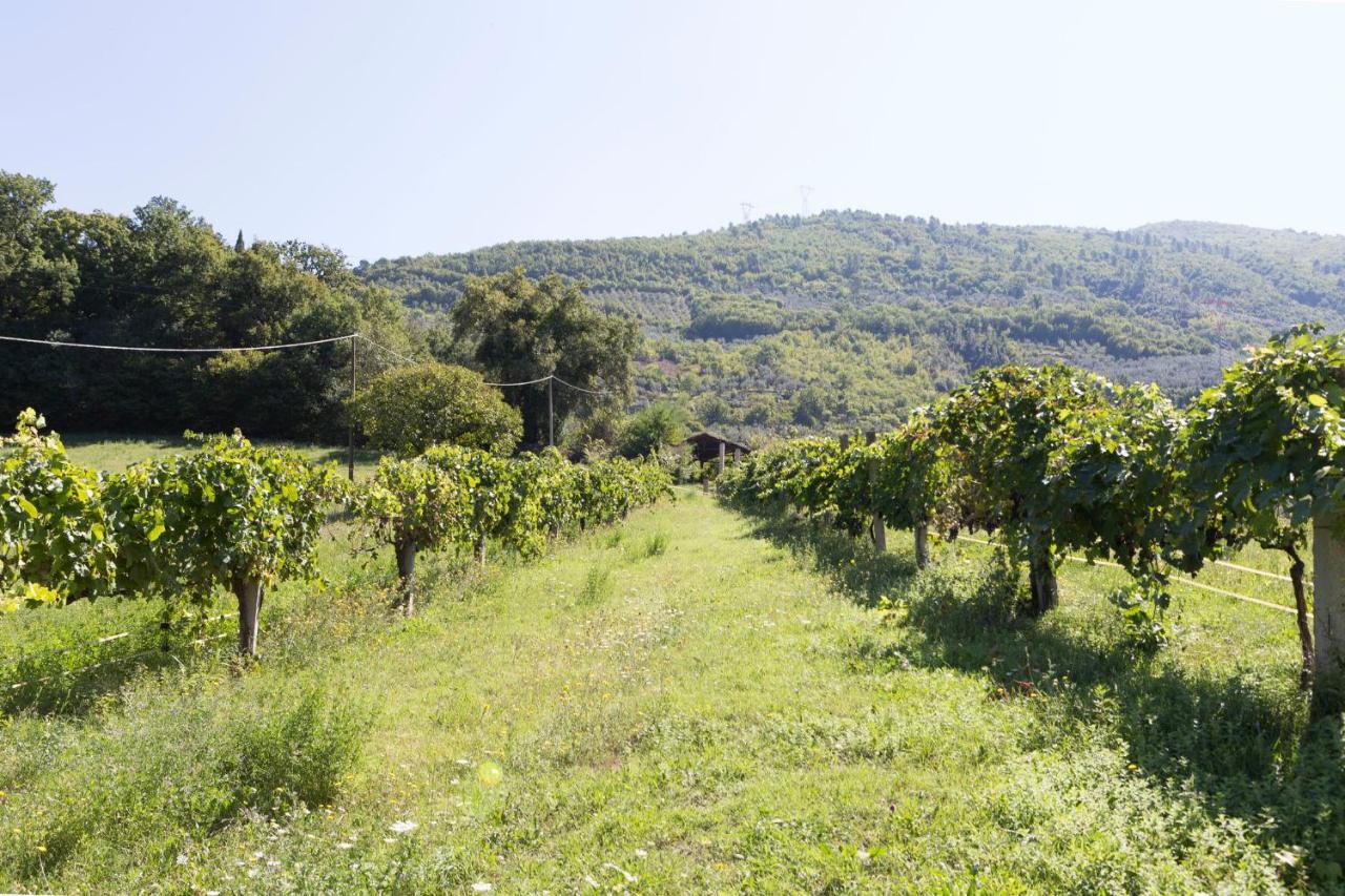 Agriturismo I Melograni Ферентилло Экстерьер фото