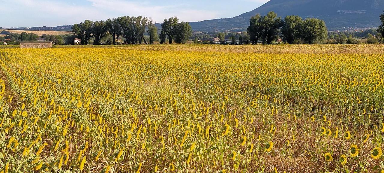 Agriturismo I Melograni Ферентилло Экстерьер фото