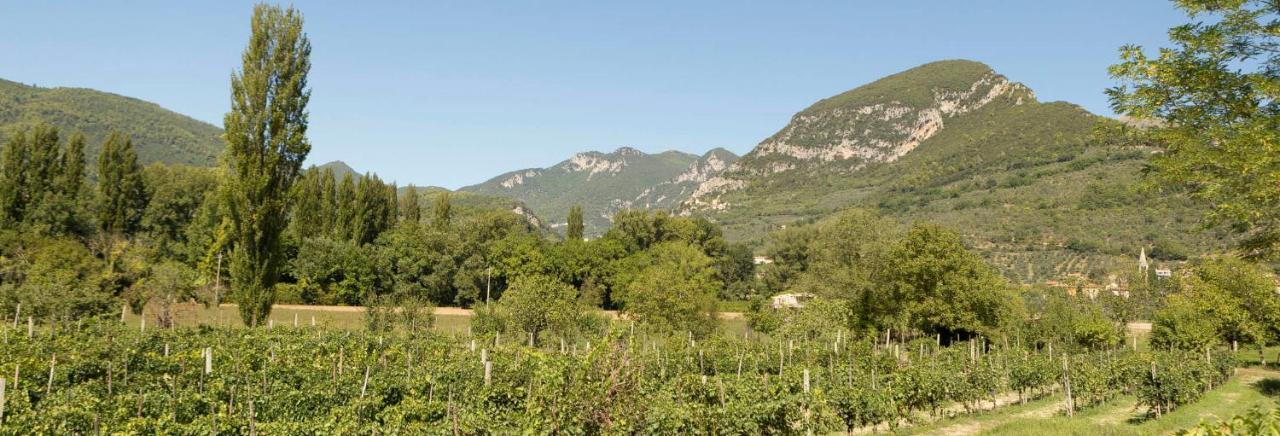 Agriturismo I Melograni Ферентилло Экстерьер фото