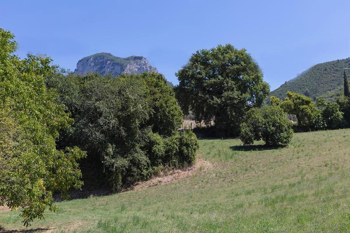 Agriturismo I Melograni Ферентилло Экстерьер фото