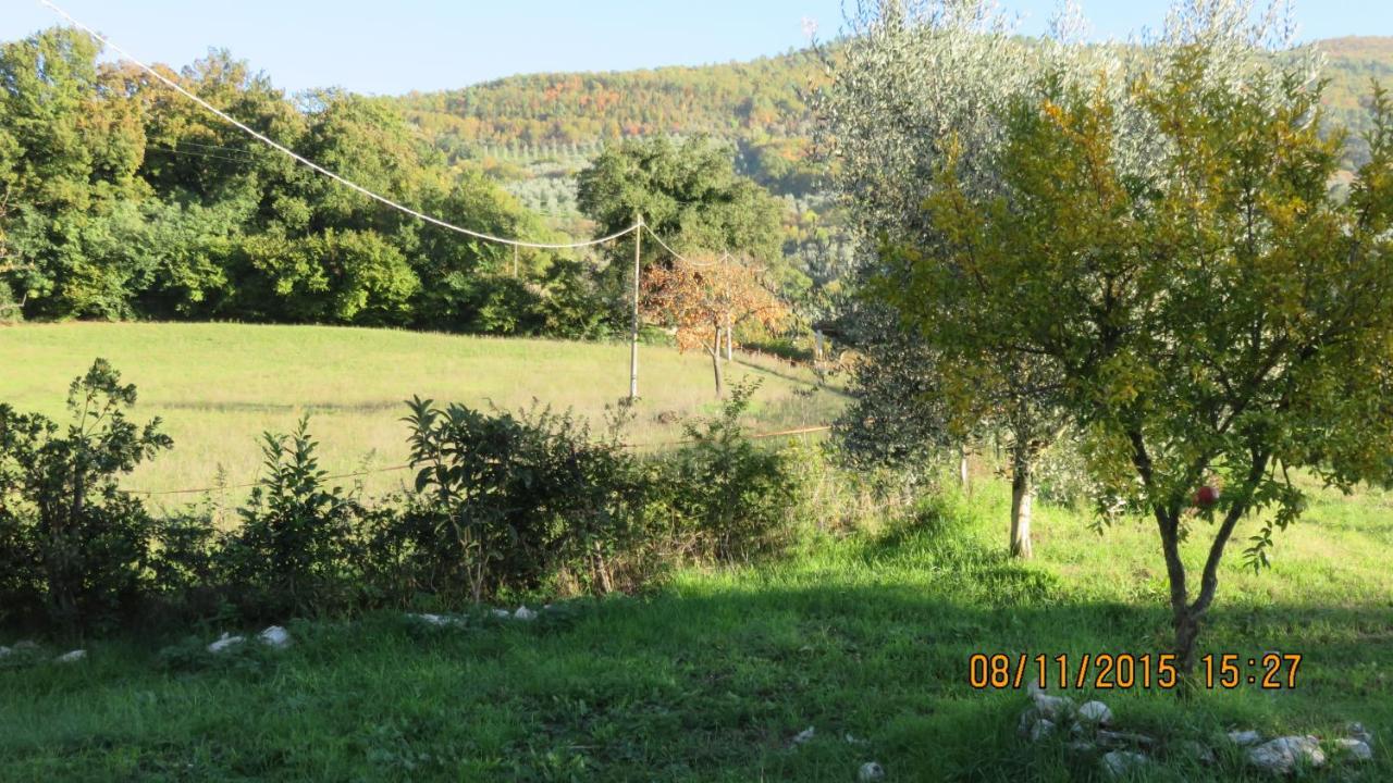Agriturismo I Melograni Ферентилло Экстерьер фото