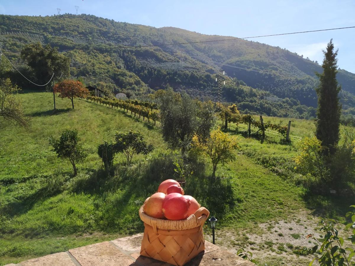 Agriturismo I Melograni Ферентилло Экстерьер фото