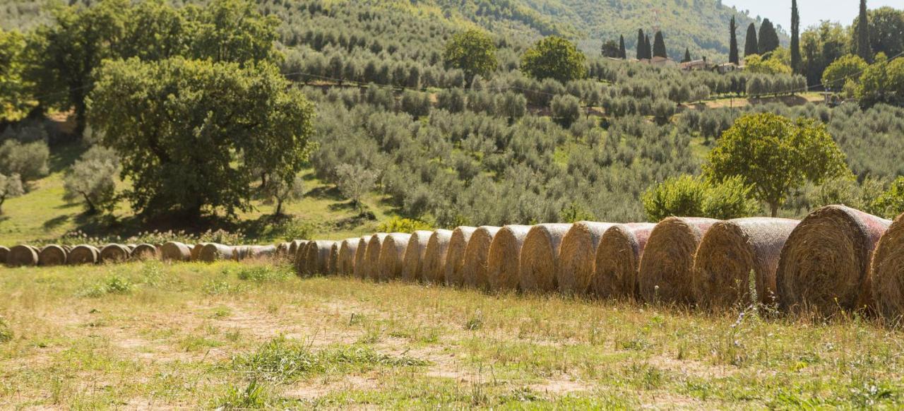 Agriturismo I Melograni Ферентилло Экстерьер фото