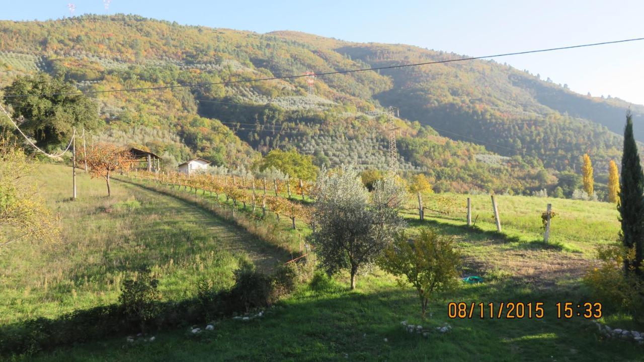 Agriturismo I Melograni Ферентилло Экстерьер фото