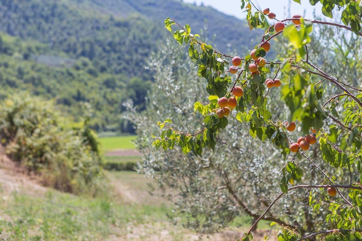 Agriturismo I Melograni Ферентилло Экстерьер фото