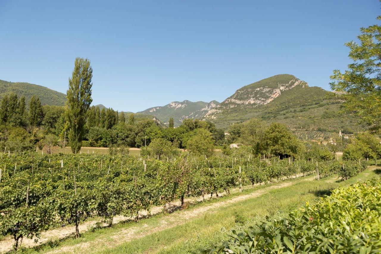 Agriturismo I Melograni Ферентилло Экстерьер фото