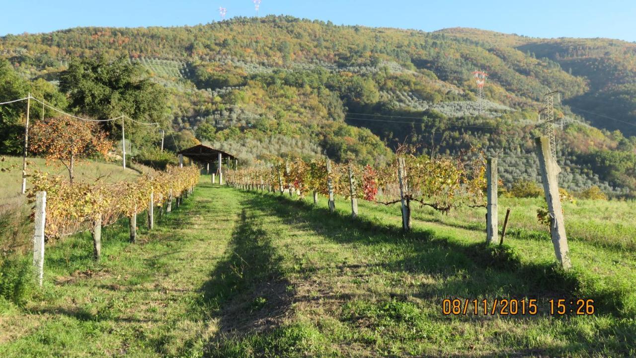 Agriturismo I Melograni Ферентилло Экстерьер фото